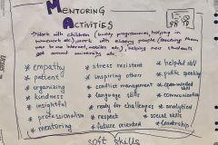 08 Mentoring-activities